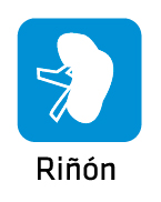 rinon_01